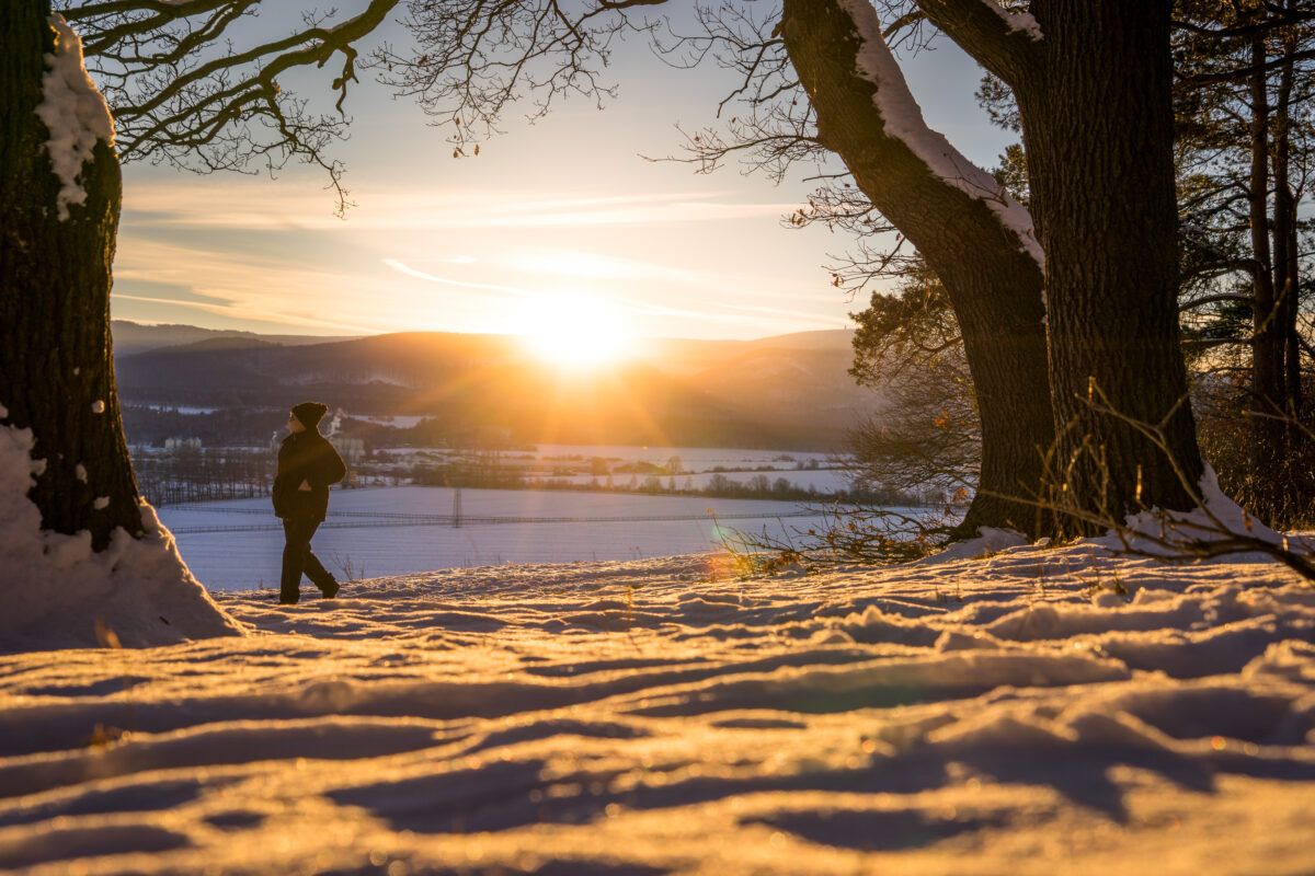 Winterwanderung auf der Charlottenlust in Wernigerode