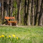 Entspanntes Wandern in Wald und Natur