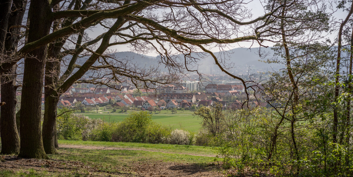 Blick auf Dorf durch Bäume im Frühling