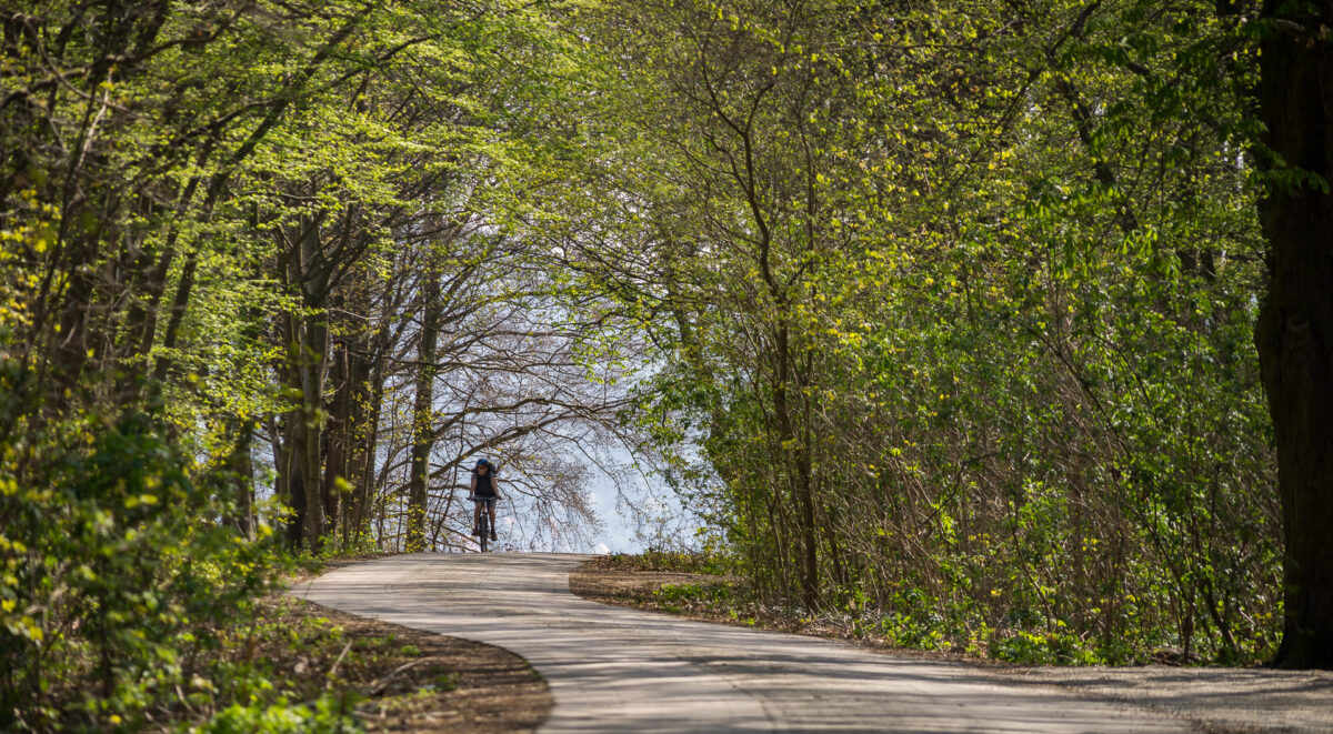 Radfahrer auf Waldweg im Frühling